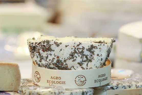 Coulommiers Fleur Bleue, aus Bio-Käserei, thermisiert, mit Salbei ummantelt.