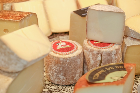 Verschiedene Varianten von Schafmilchkäse